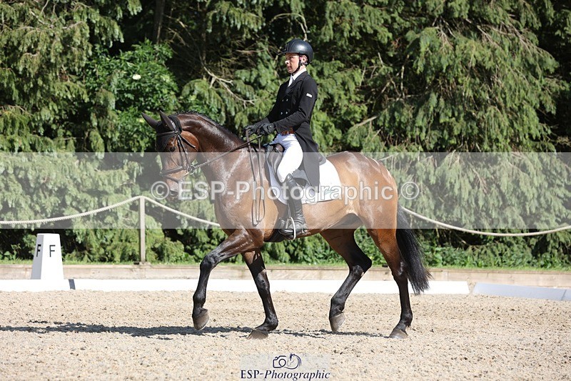 230526-165811-07875 - 174-LANCELOT_BMG-Alfie_Marshall-WEDTrotUp+DR