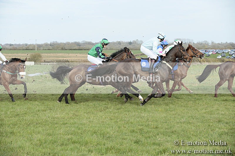 PtP 230319 438 - VWH Hunt Siddington Point-to-Point Racing 23/03/19