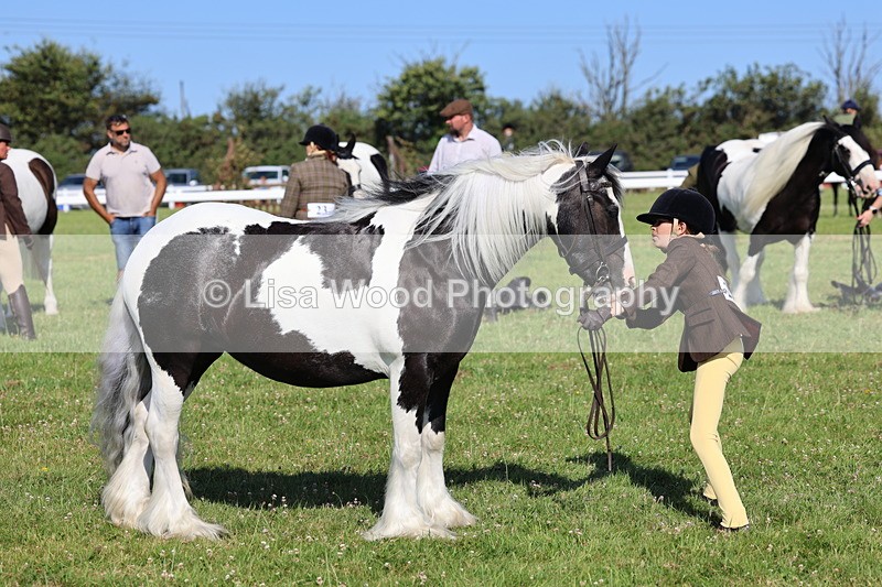IMG_1582 - Class 30: Ridden Native/Trad Coloured Pony