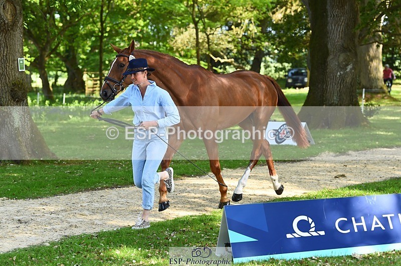 230524-164510-01067 - 113-I'M_A_WONDER-Rosie_Fry-WEDTrotUp+DR