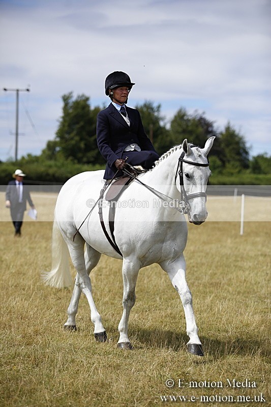 _C7A0275 - Side Saddle Classes BVRC Show 2018