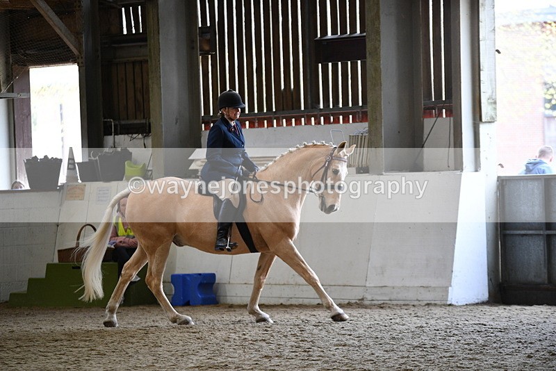 WJ5_6123 - Class 9 Ridden Veteran