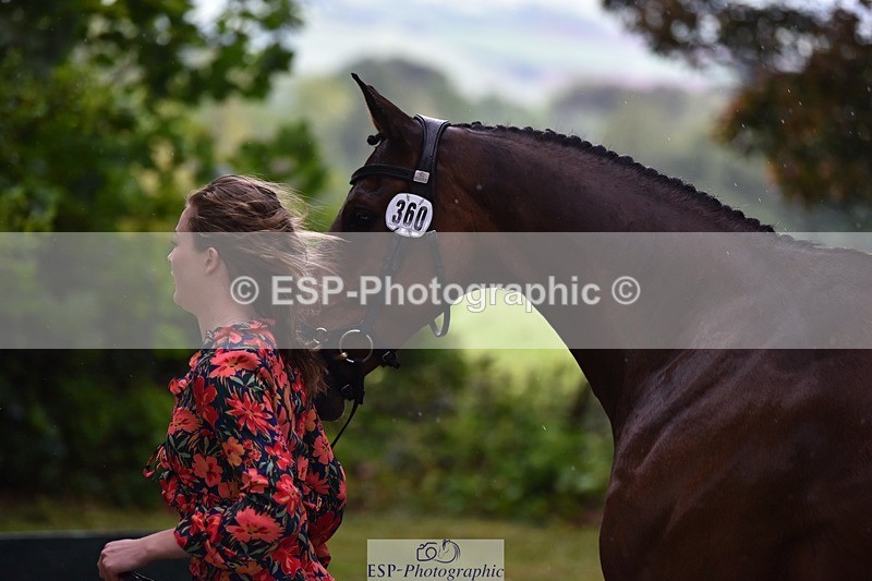 240522-152914-00375 - 360-JELSON-Lucy_Collecott