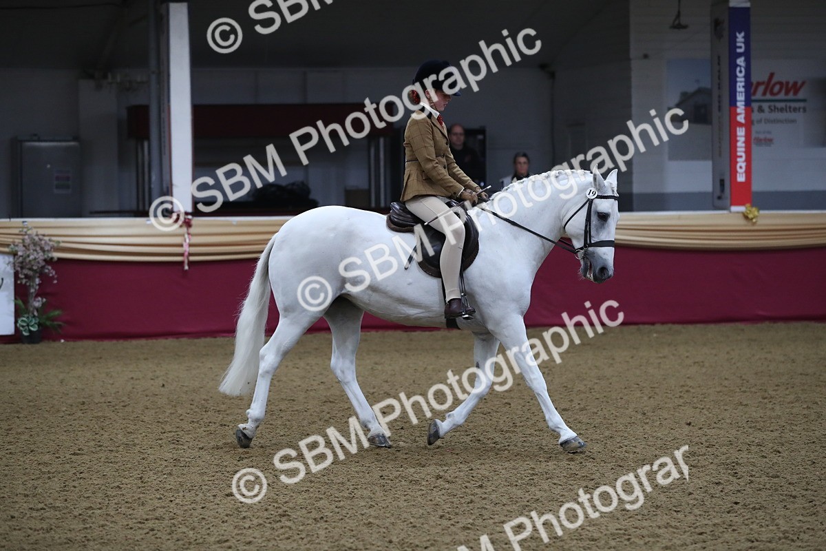 SBM_09313 - Class 101 Equitation (best rider), Junior