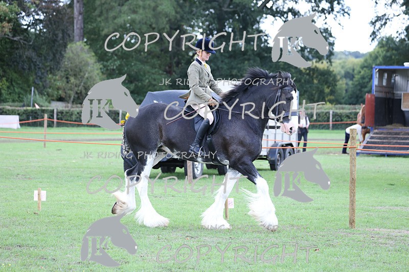 APP_3611 - Class 8 Ridden Class