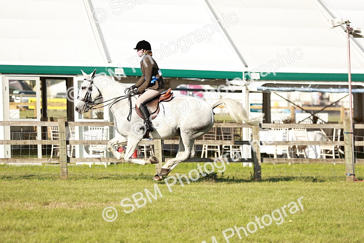 SBM_20115 - Class 115-116 - LIHS BSHA Rising Star Working Hunter & Show Horse