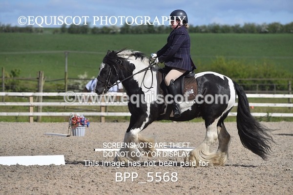 BPP_5568 - 4 L DENHOLM