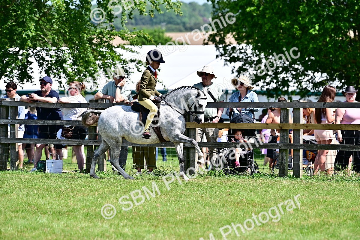 SBM_13927 - Class 95-97 - BSPS LHS Performance Ponies