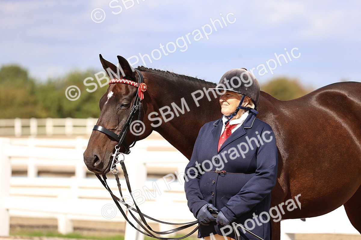 SBM_14310 - Class 411 - Prettiest Mare (IH OR Ridden) Adult