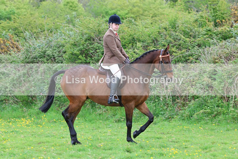 3E7A1929 - Class 10: Ridden Sports Horse