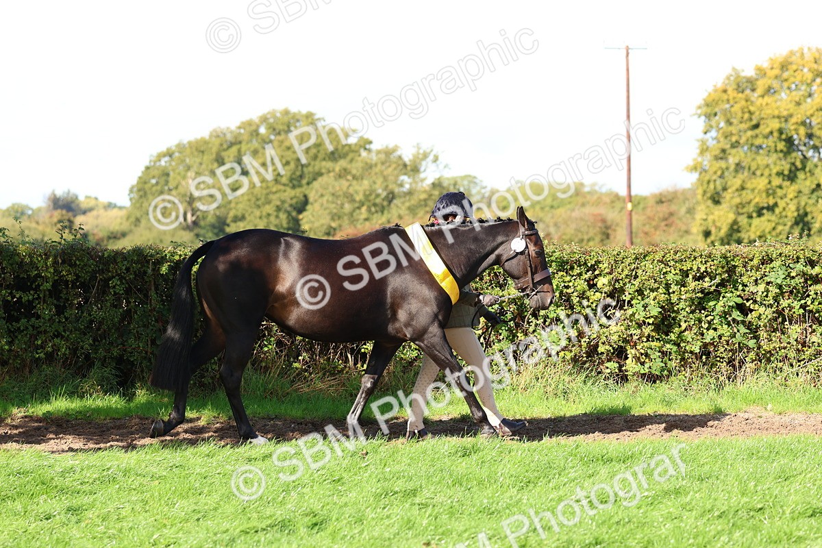 SBM_37407 - Fun Showing Supreme Championship