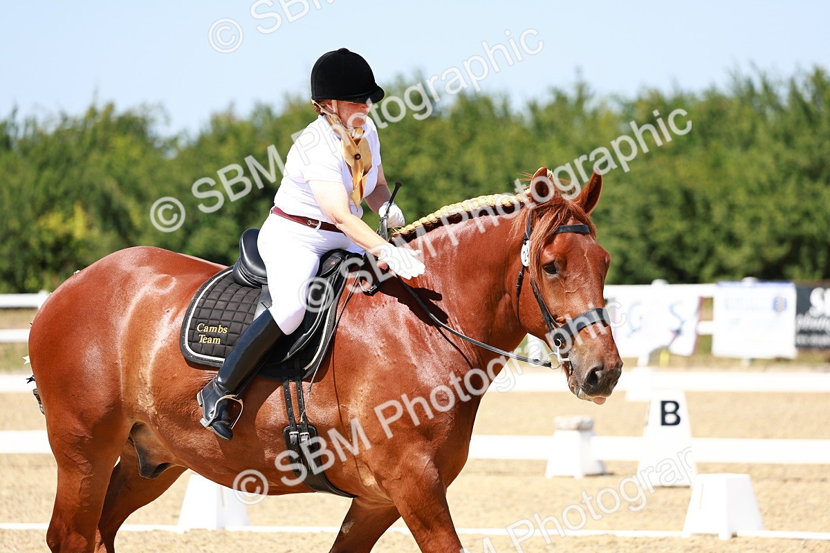 SBM_011823 - Intro 3 - 13.00-14.10
