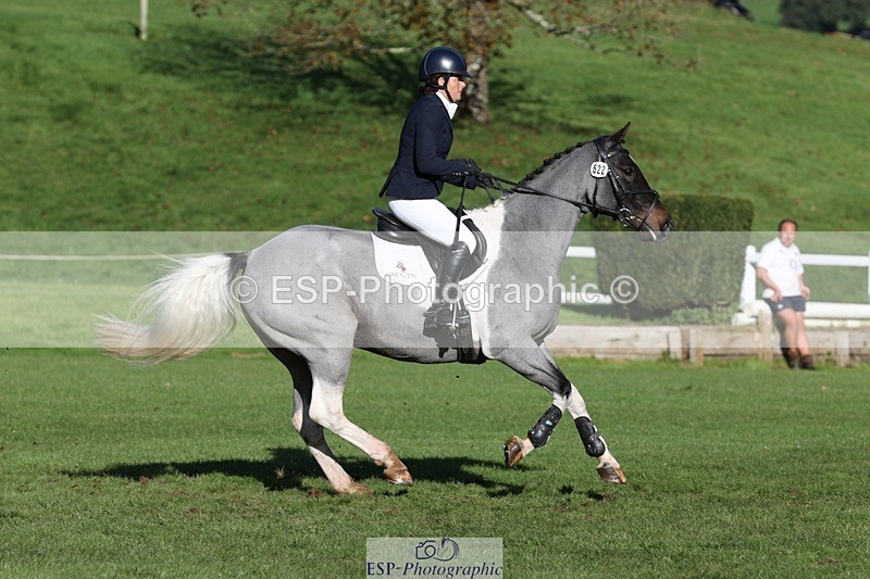 231022-110918-24993 - 622-CRAFTY.WIZARD-Heather.Urquhart-TrotUp+SJ