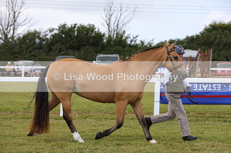 1X9A4925 - Class 35: Veteran In Hand