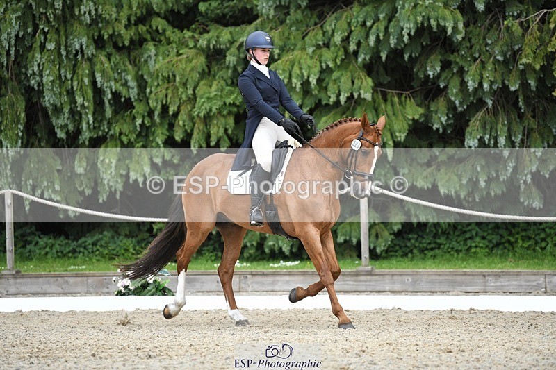 230525-144307-03164 - 323-CHESTNUT_BOBBY-Molly_Fletcher-WEDTrotUp+DR