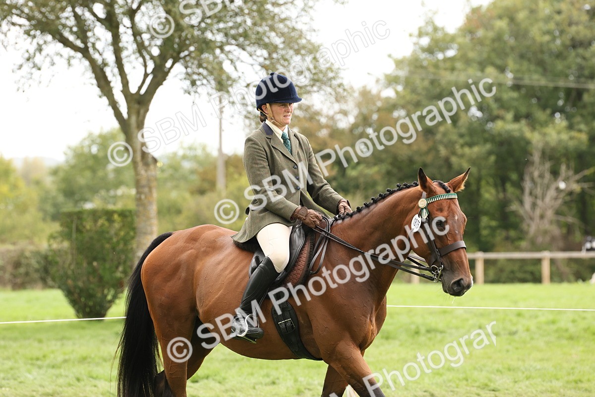 SBM_64139 - S65 - Riding Horse & Hack & Thoroughbred Ridden