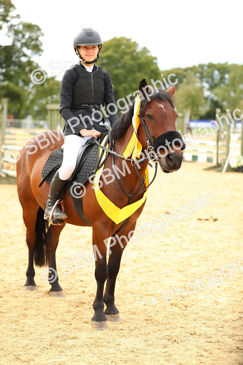 SBM_71299 - J18 - Junior Pony 85cm Championship