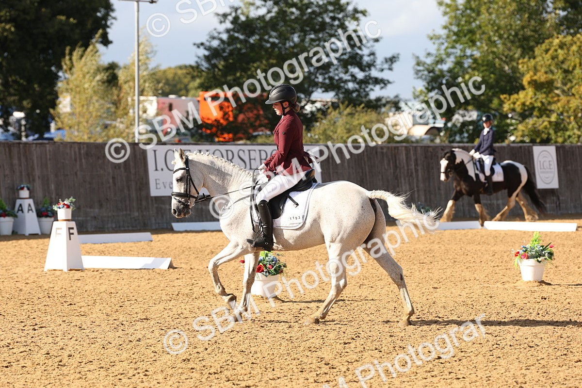 SBM_50469 - D12 - Small Tour Championship prelim 2