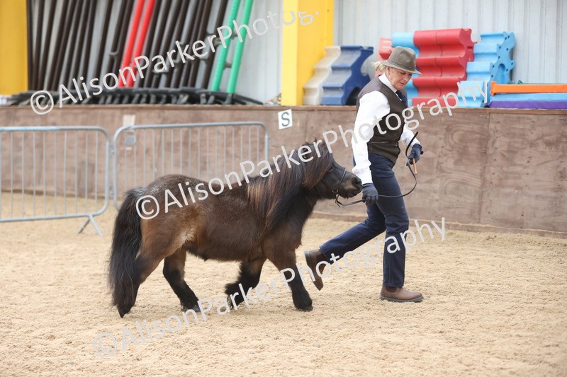 20251109-0375 - Class 14 - Geldings 4 Years and Over