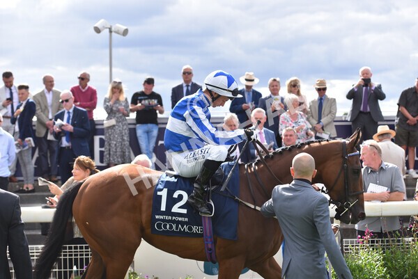 yr19082022r4-45 - Race 4 3.35pm Coolmore Wootton Bassett Nunthorpe Stakes (British Champion Series Race)