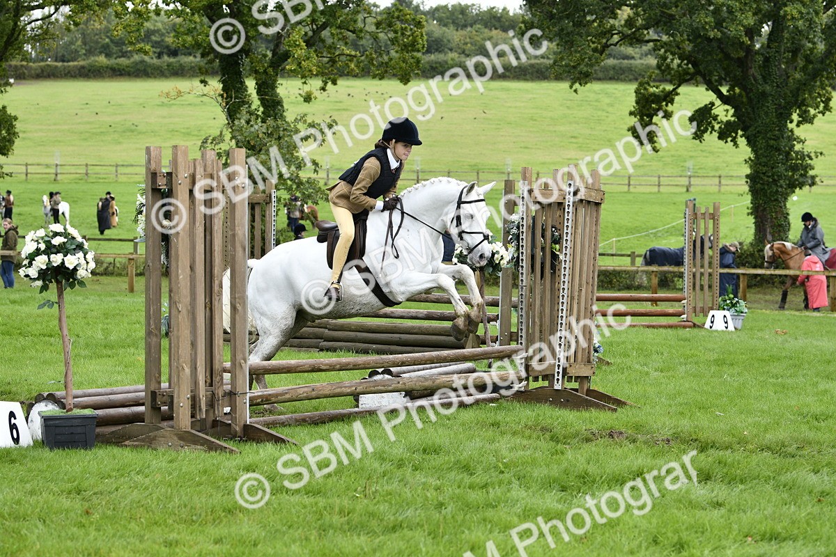 SBM_41553 - S32 - Mountain & Moorland Working Hunter Pony