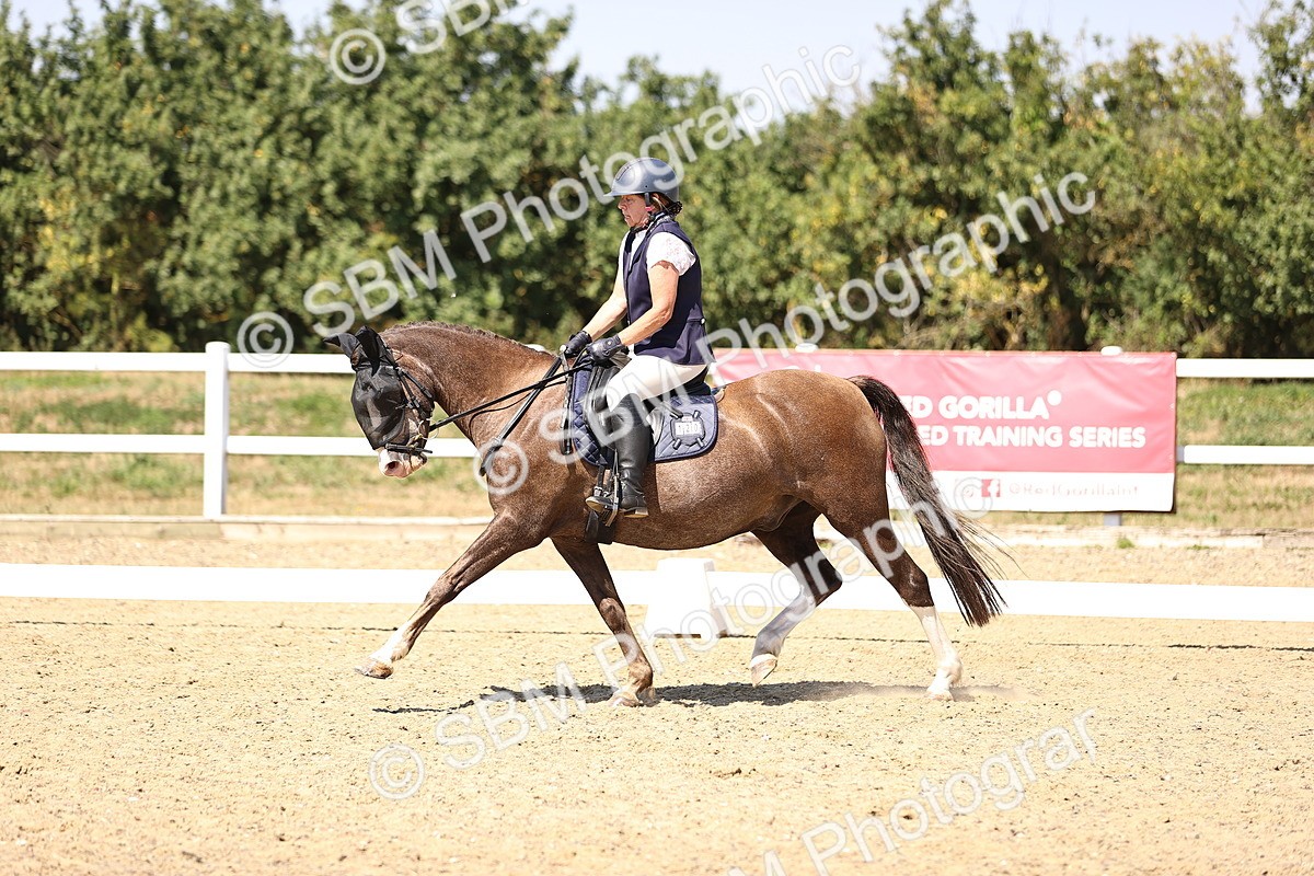 SBM_005487