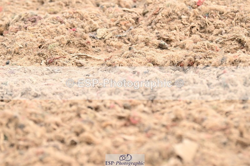 240623A-101452-16627 - Cls 29+30 Quest Prelim 12