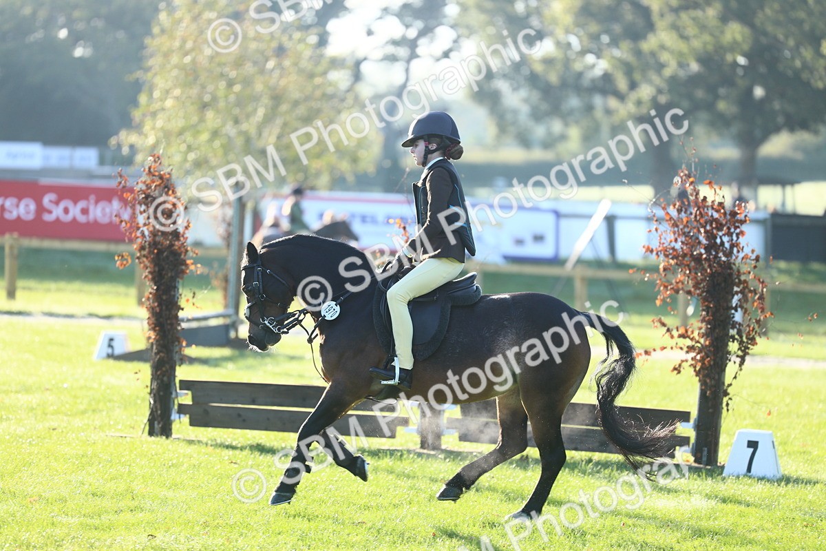 SBM_37305 - S29 - Novice & Newcomers Working Hunter Pony