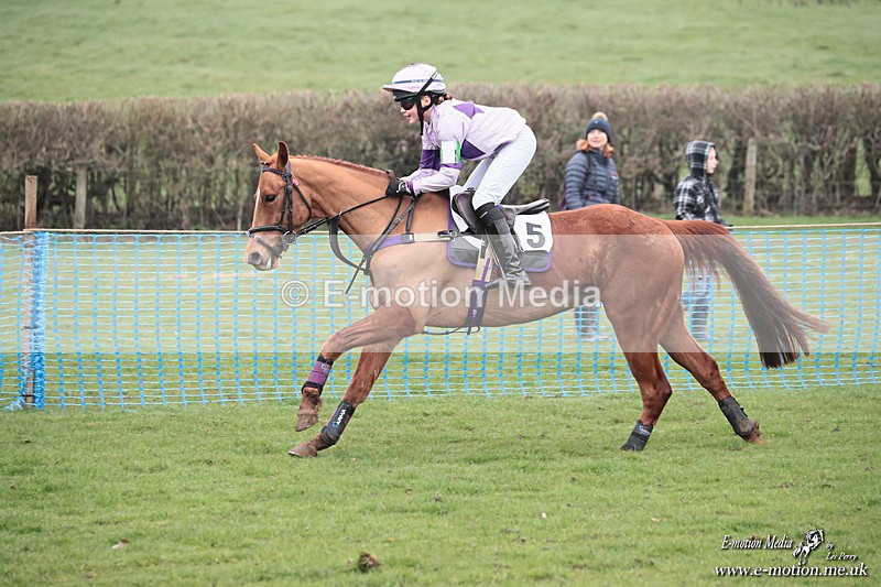 PR PtP 080326 464 - Guilsborough Pony Races 08/03/26