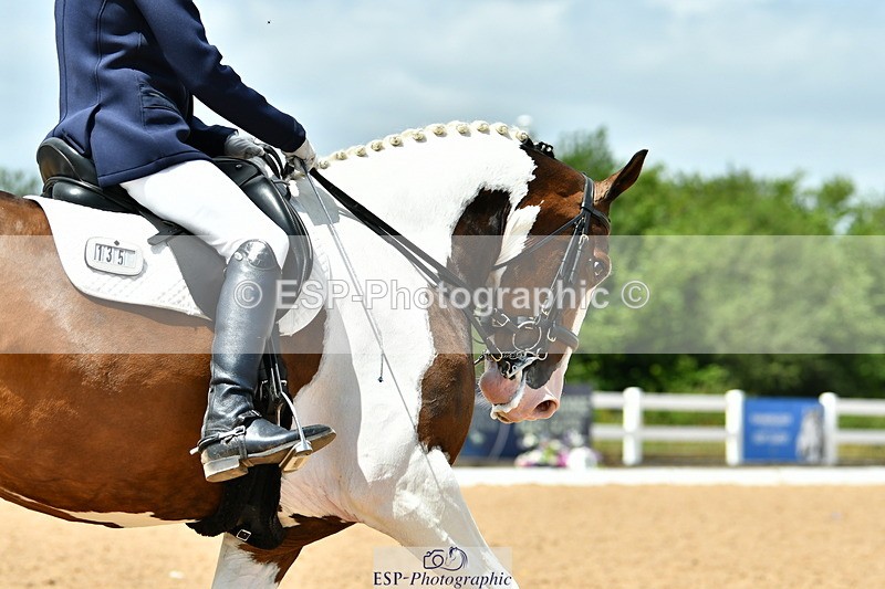 230702A-135511-10119 - Cls 31 Medium 69