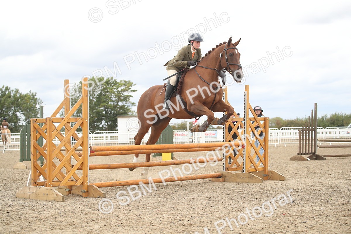 SBM_18277 - Class 509a - Working Veteran - 80cm (15-19)