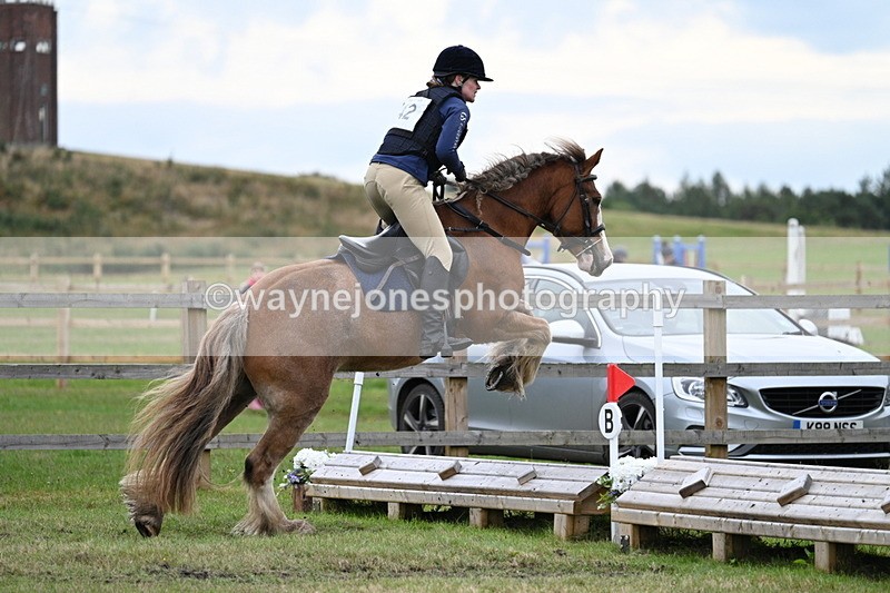 WJ7_7739 - 40cm Time 10:49 to 11:18