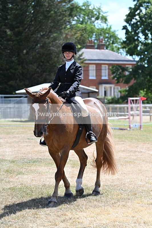 WJ7_2825 - Class 7 Riding Club Show Horse