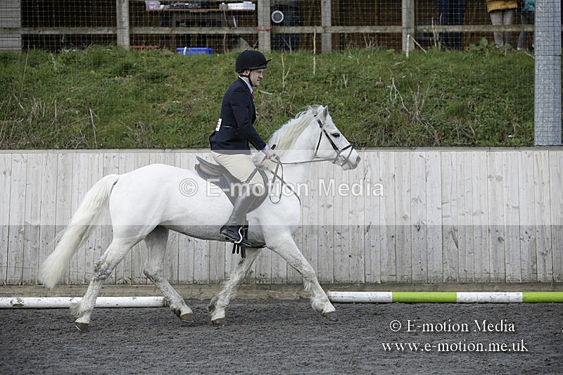 BVRC 050320 0153 - Bourne Valley riding Club Show Jumping Tidworth 08/03/20