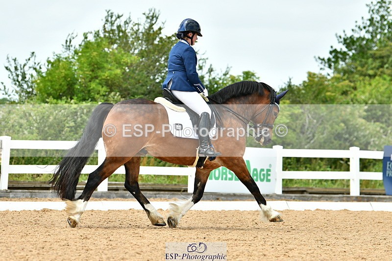 230702A-140758-10583 - Cls 32 Medium 73