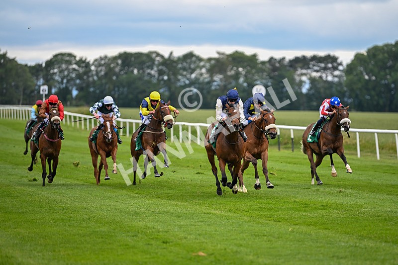 170625-Race 1-Royal Fixation-4320 - Race 1