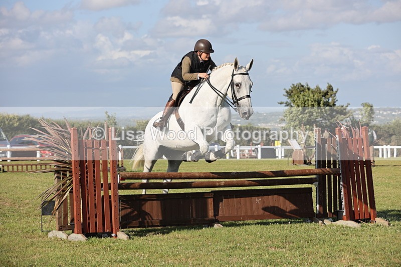 JPP_3325 - Class 22: Working Hunter 90cm