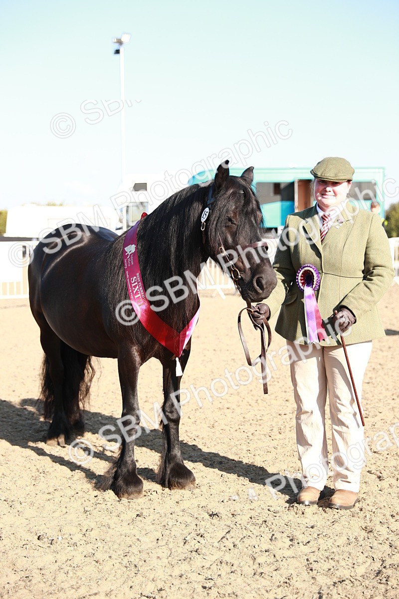 SBM_00147 - Class 40 Best Turned Out IH