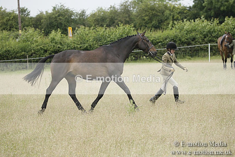 B230619-0779 - Bourne Valley Riding Club Summer Show 23/06/19
