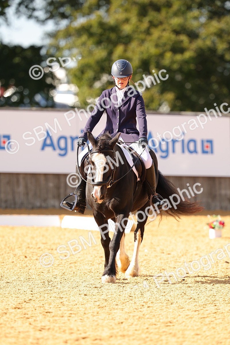 SBM_48401 - D22 - Junior Championship - Intro B