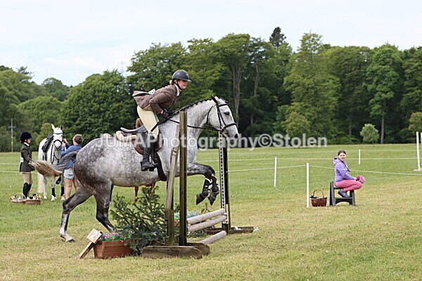 IMG_2745 - Working Hunter