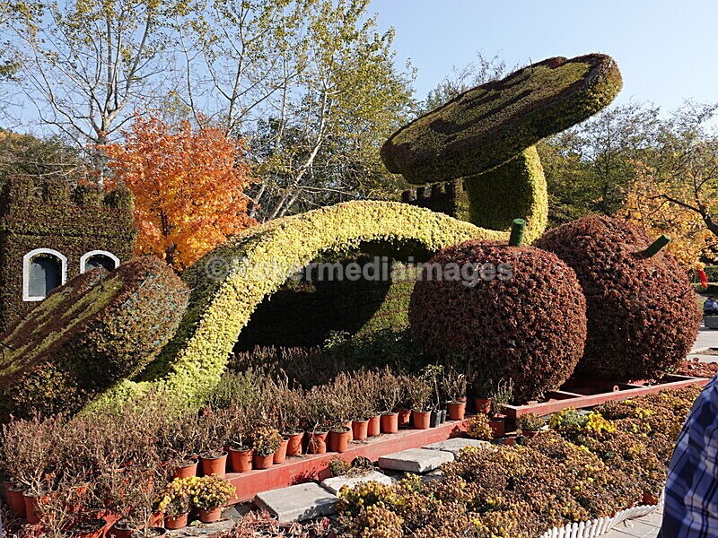 CHINA__1216 - China 2019