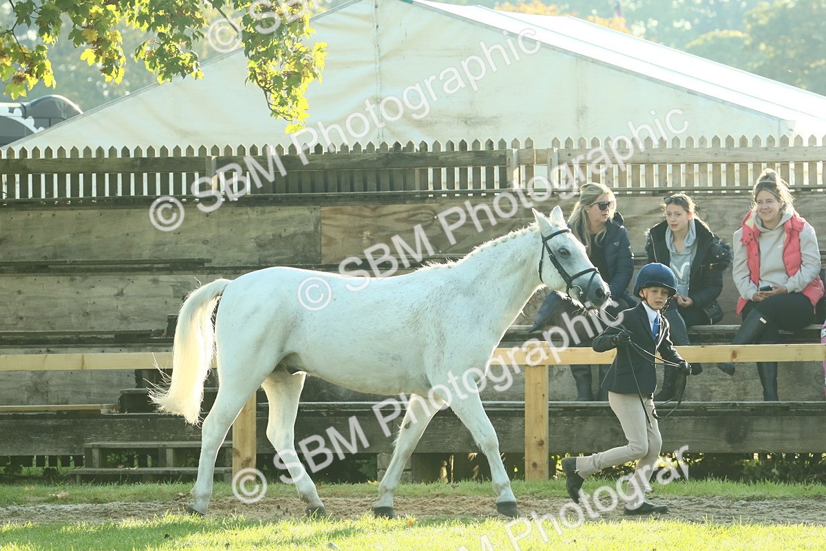 SBM_57362 - S37 - Starters In Hand Showing