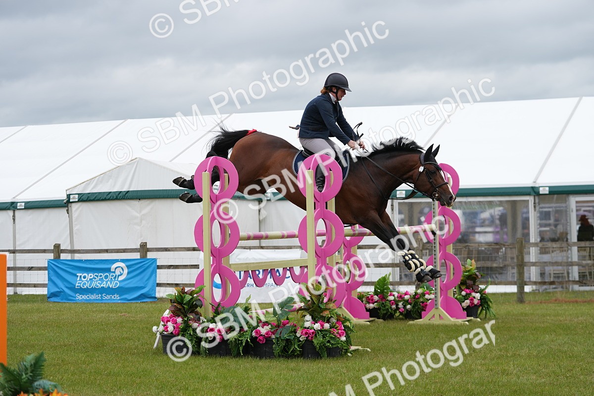 SBM_03346 - Class 201 - British Horse Feeds Speedi Beet Horse of the Year Show Grade  C