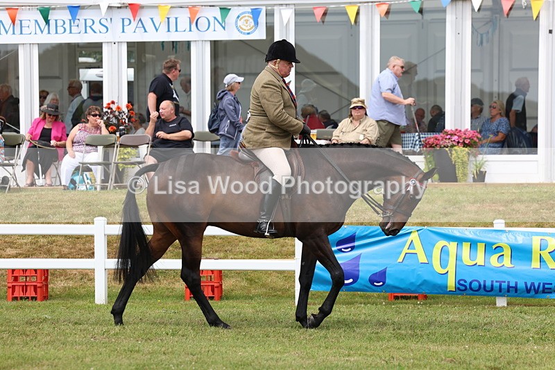 3E7A0806 - Class 8: Open Riding Horse/Hack