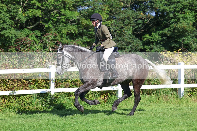 3E7A7855 - Class 2: Open Working Hunter pony