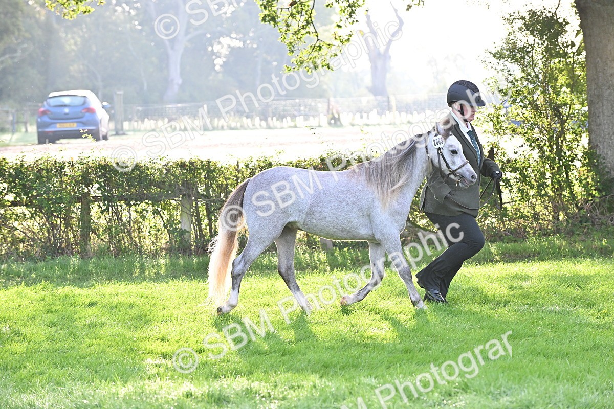 SBM_55326 - S44 - Youngstock In Hand