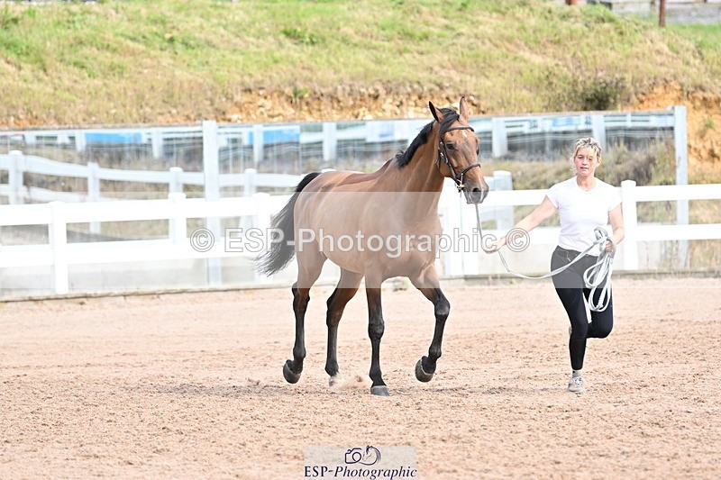 240717A-165646-03555 - Trot Up 4pm to 5pm