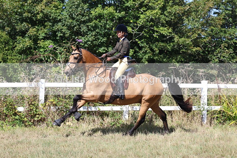 3E7A6433 - Working Hunter Championship