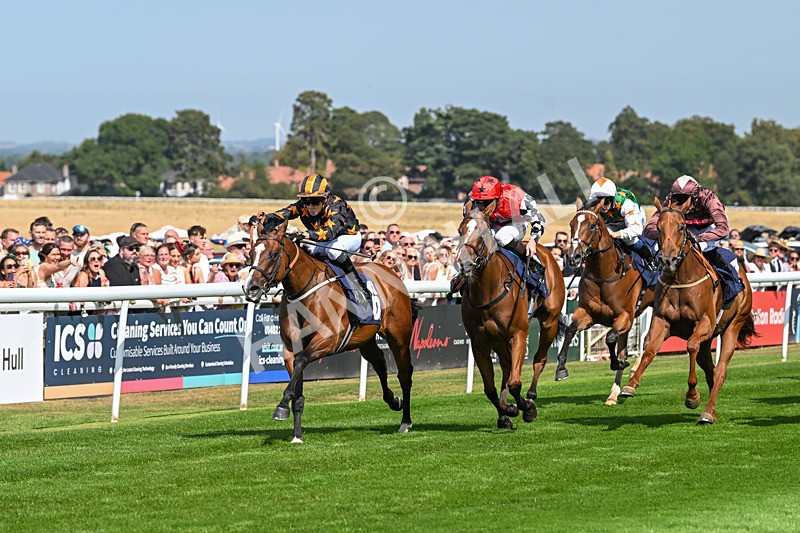 130825-Race 2-Brimfulofattitude-7132 - Race 2